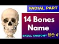 14 facial bones name anatomy  mandible maxilla lacrimal zygomatic vomer nasal concha