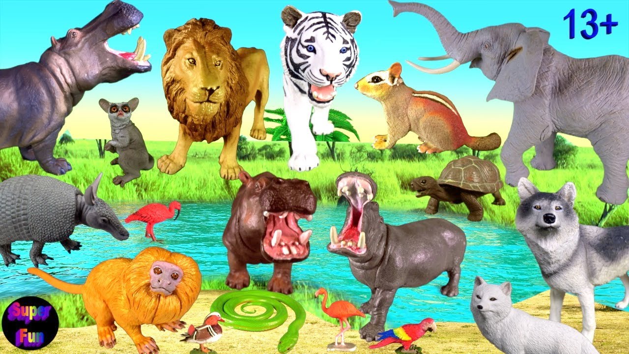 Animals - Lion Tiger Elephant Hippo Wolf Fox Snake Tamarin Chipmunk 13+ 