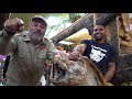 Reptile Room Tour January 2018 with Giant Snapping Turtle