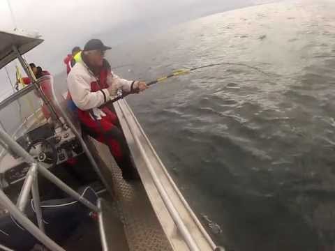 Video: Har torskefisket i Grand Banks tatt seg opp igjen?