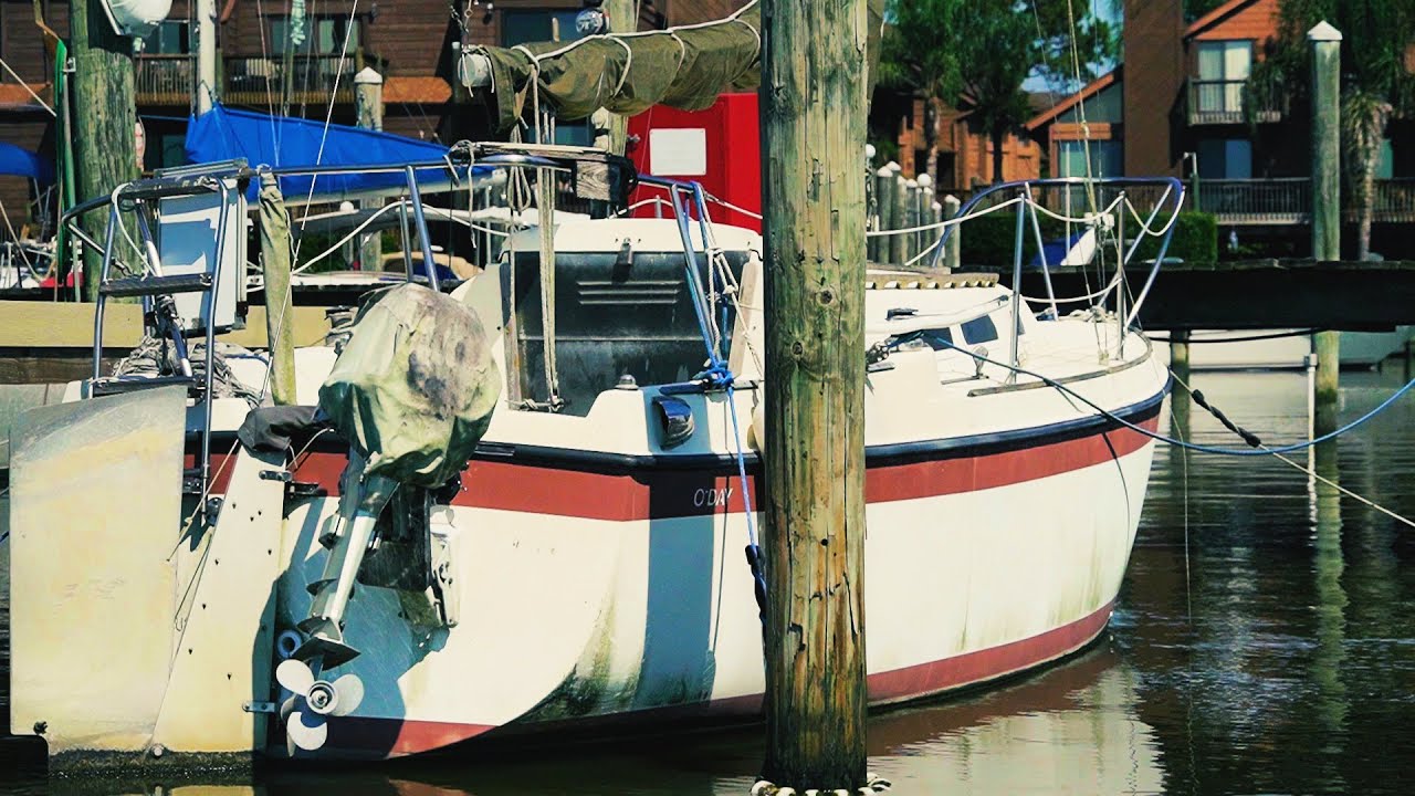 SLOW TV - Sailboats in a Marina ASMR - Water, Docks, and Birds |  ⛵ The Foster Journey