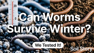 Can Worms Survive Winter in Your Soil? We Tested It!