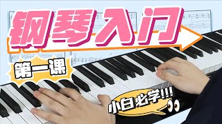 想学钢琴却无从下手？youtube最基础最详细的钢琴入门教学，1分钟学会钢琴入门的5个基础知识！