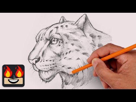 How To Draw a Snow Leopard | Sketch Tutorial (Step-by-Step)