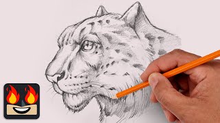 How To Draw a Snow Leopard | Sketch Tutorial (Step-by-Step)
