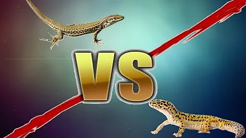 Que família são lagartos?
