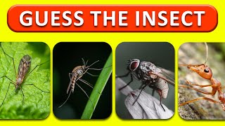 Guess The Insect Within 5 Seconds | General Knowledge Quiz Game (2023)