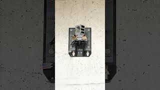 Build Lapse Bricks Lego Creator Expert #10266 NASA Apollo II Lunar Lander #lego #legocreatorexpert