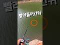 프리리그 훅셋미스가 자꾸난다면? 이렇게 어떠세요 #배스 #배스낚시 #프리리그