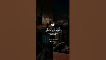 ما تيسر من سورة المائدة (الشيخ ماهر المعيقلى)