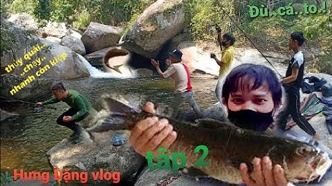 Hưng Đặng vlog.Hành trình lên núi cao câu cá Nai khủng...(tập 2)
