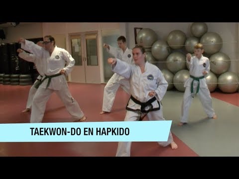 Do it in Dronten | Sportcentrum De Bever biedt Koreaanse zelfverdedigingssporten