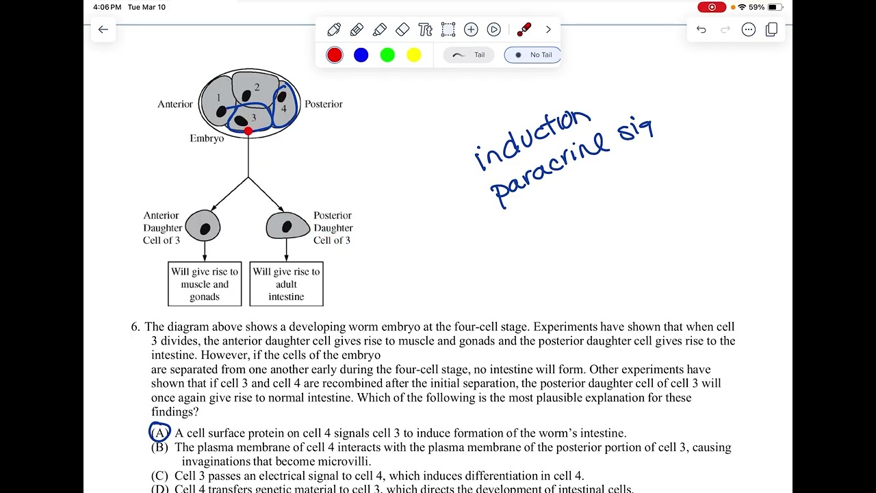 AP- practice Q's (pink) - UNIT 7 - CH 8,9,10
