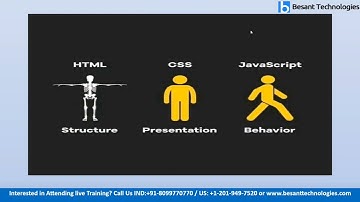 what is full stack developer ? | What is Full Stack Development | Complete Full Stack Tutorial