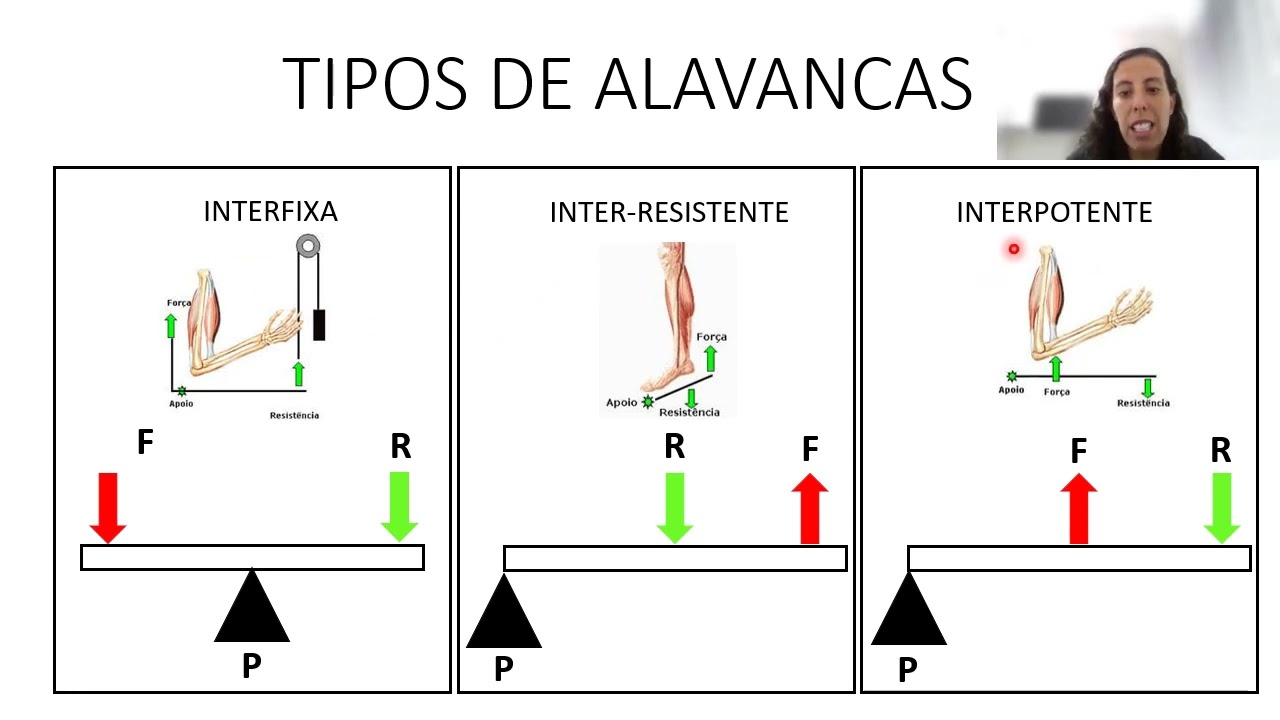 Exemplos De Alavancas De Terceira Classe