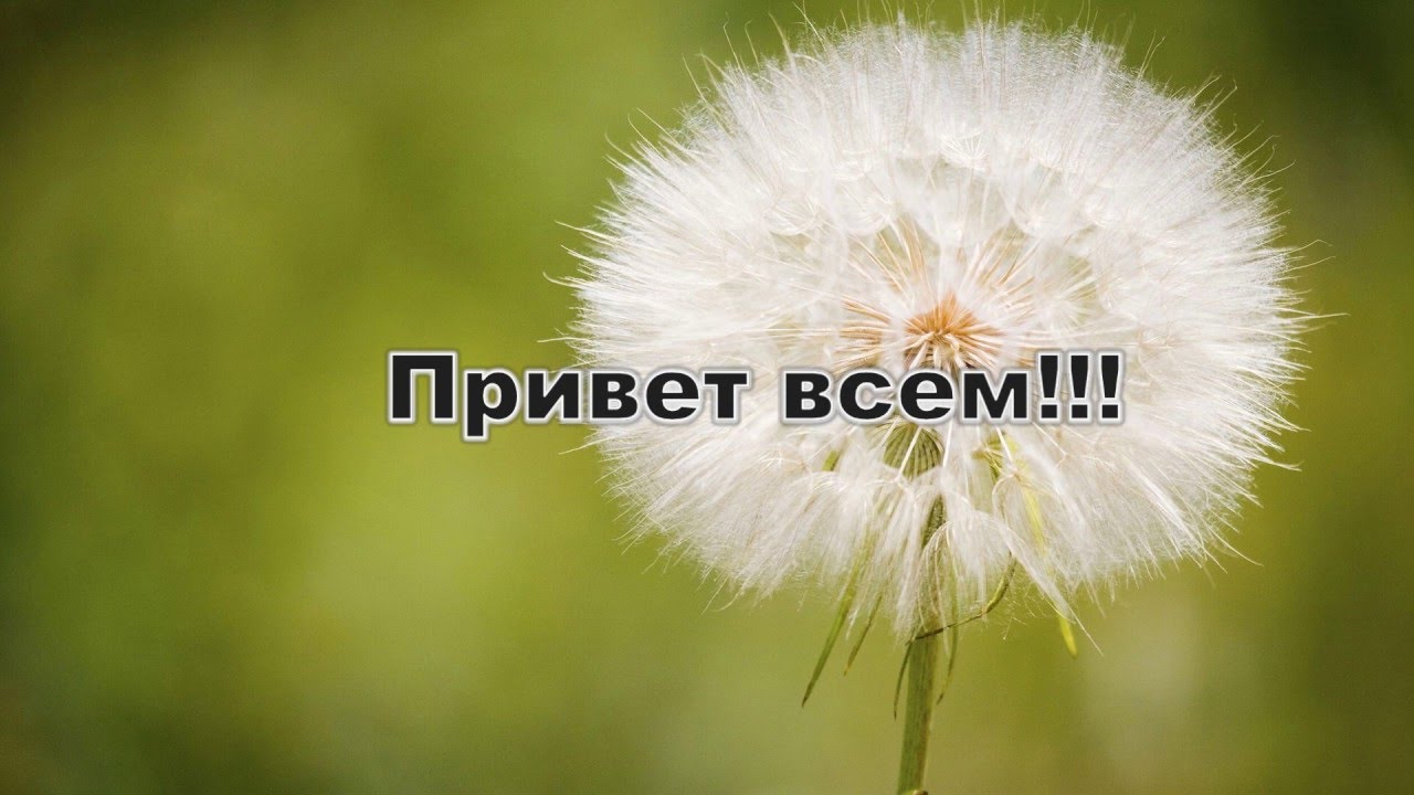 Как заработать 10 Bitcoin 3700$ за месяц .