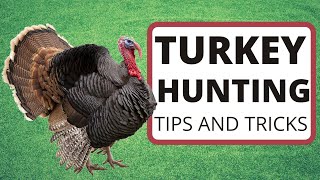 TURKEY HUNTING TIPS TO GUARANTEE SUCCESS