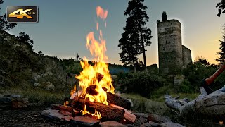 Medieval Campfire🔥Old Castle Ambience & Sounds of Forest