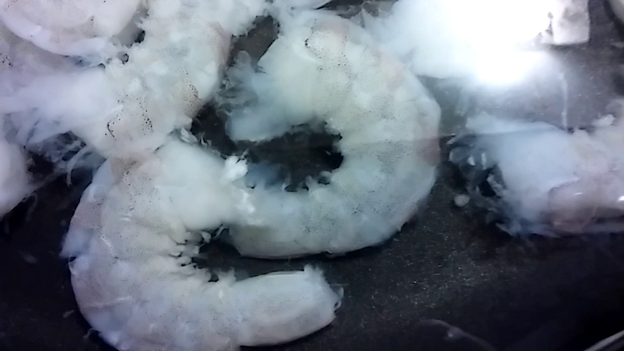 2017 WALMART CONTAMINATED SHRIMP CAUSE SEVERE STOMACH PAIN AND VOMITING