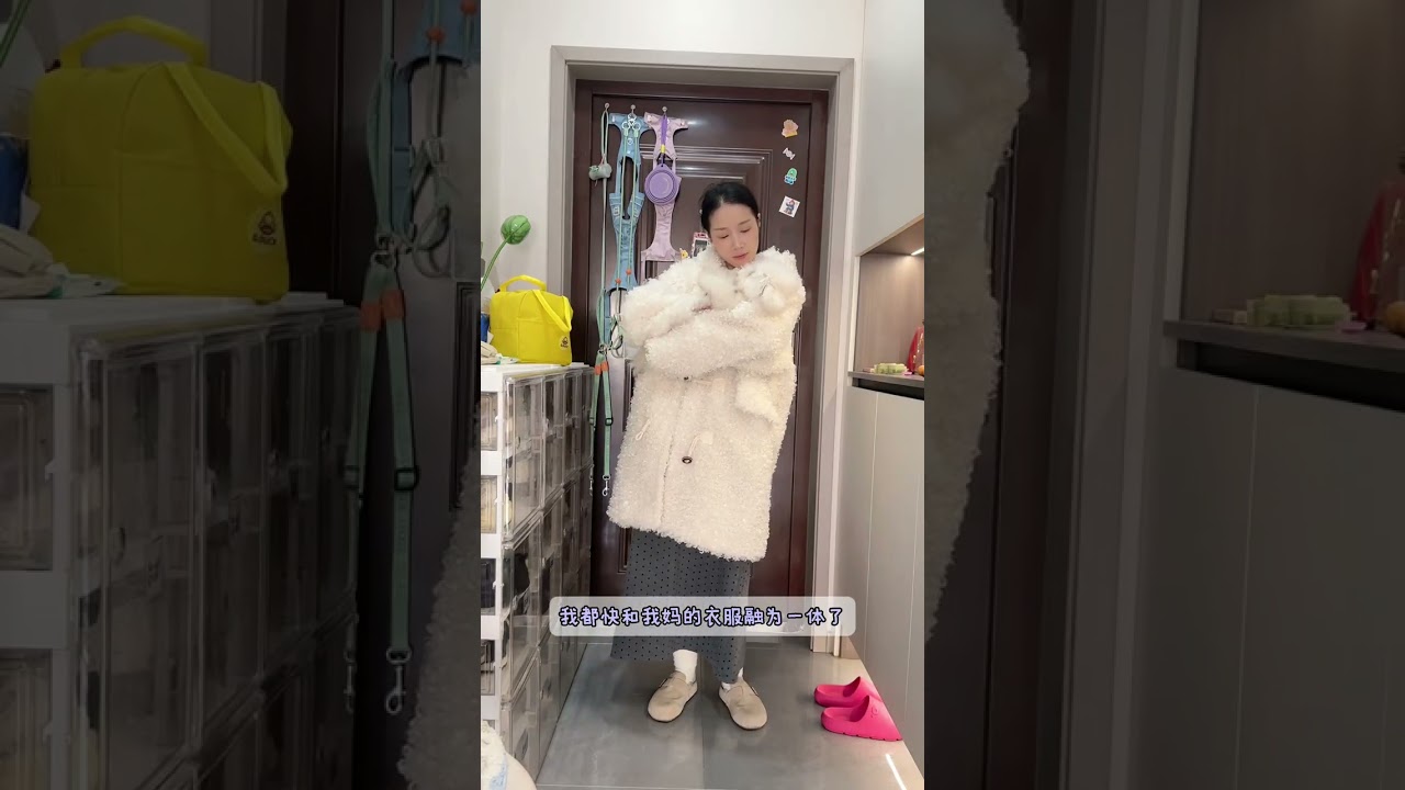 Vlog. A Diary of a working person with three dogs