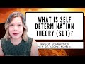 What is Self-Determination Theory?