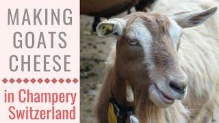 Making Swiss Cheese in Champery // Valais Switzerland