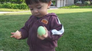 Addison's First Easter Egg Hunt