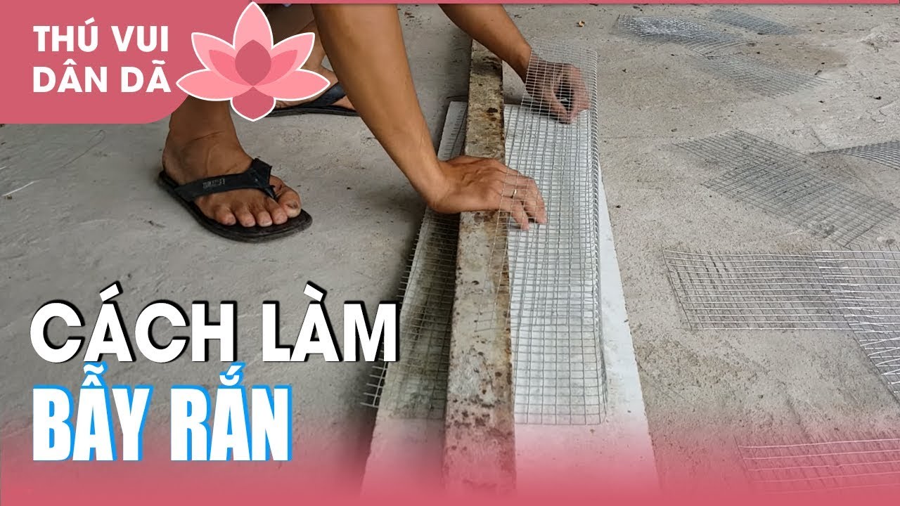 Bạn Vạn Sóc Trăng chỉ làm Bẫy Rắn l How to make snake trap - YouTube