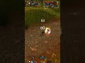 Lv3 Broom Mage PvP