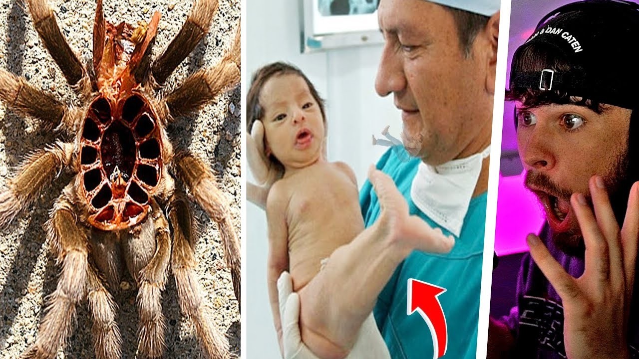 Latest Title & Thumbnail