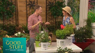 Growin' With Owen: Planting annuals, perennials and shrubs | The Good Stuff with Mary Berg by The Good Stuff with Mary Berg 144 views 7 days ago 8 minutes, 30 seconds