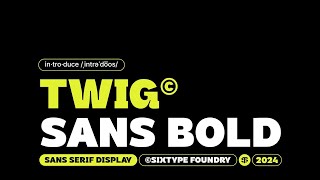 Twig Sans Bold Font Download