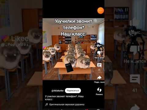 У училки звонит телефон*.Наш класс:
