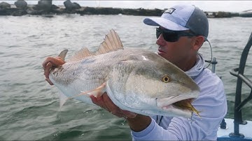 How to catch redfish on the Nomad Design Vertrex soft vibe