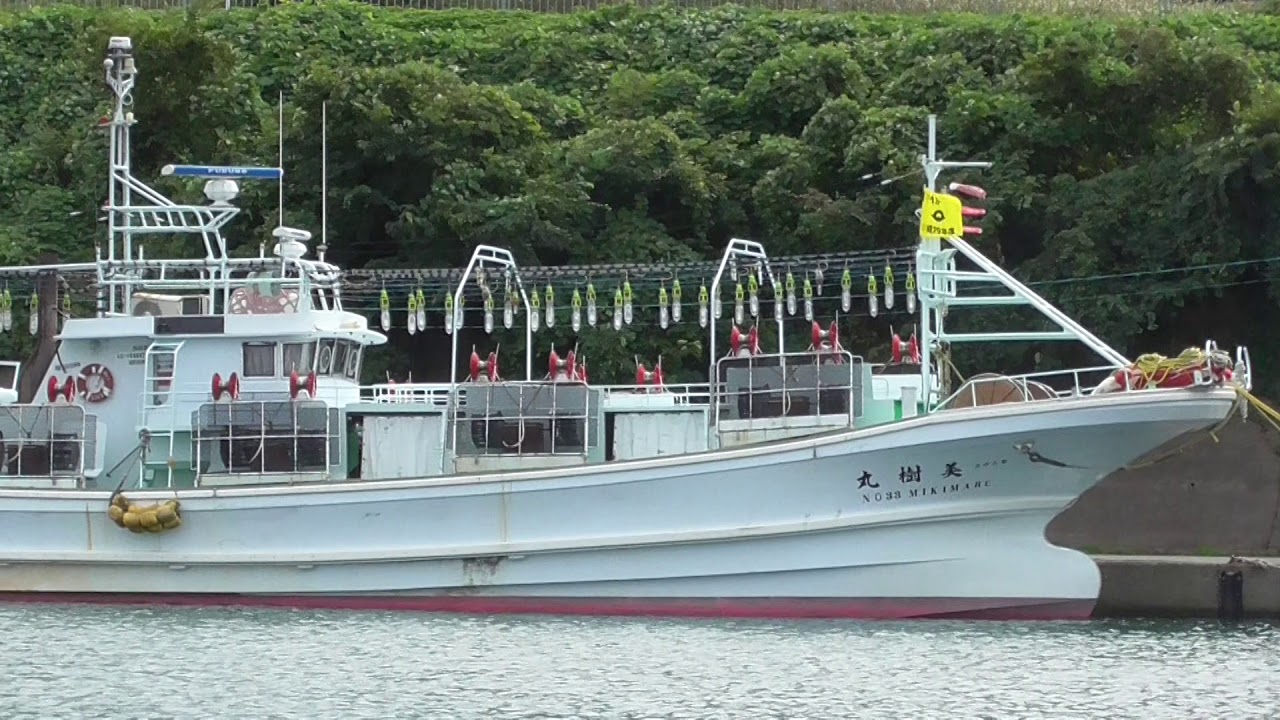 50 グレア イカ 漁船 Ngantuoisoneo5