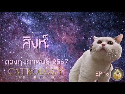 EP.16 CATrology_ดวงรายเดือน กุมภาพันธ์ 2567_ลัคนาราศีสิงห์