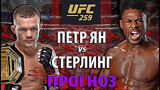 Петя 100% Потеряет Пояс? UFC 259: Петр Ян vs Алджамэйн Стерлинг | Борьба или Бокс? Прогноз на бой.