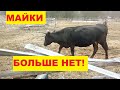 Пашем картофельник! Майки больше нет! И немного про хозяйство! Многодетная семья в селе!