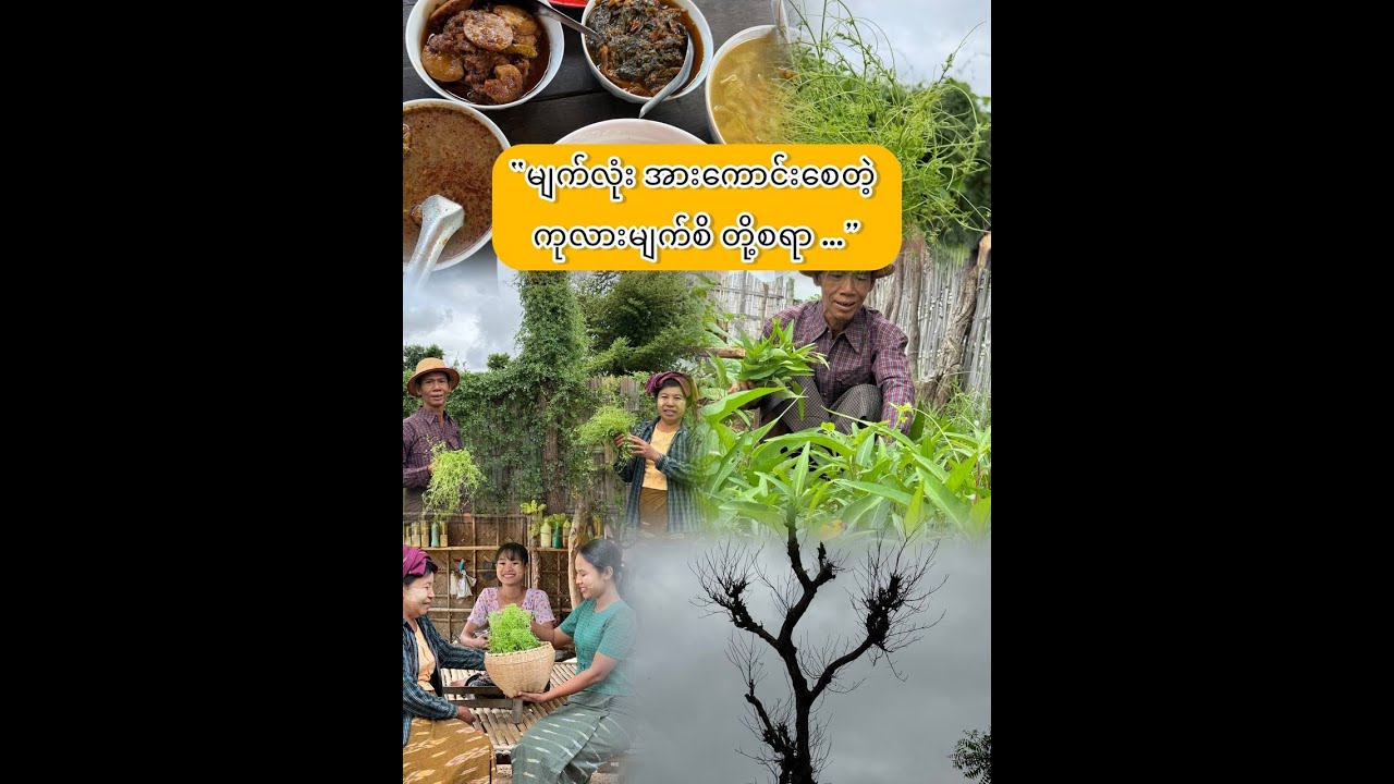 “အလေ့ကျပေါက်တဲ့ ကုလားမျက်စိ တို့စရာ…”