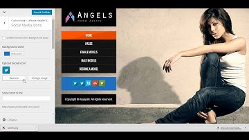How To Edit Social Media Icons In Theme Customize