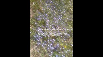 #اكسبلور #القرآن_الكريم #ويجعل من يشاء عقيما القارئ_ناصر_القطامي#راحة_نفسية