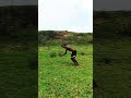 Frontflip Avoid This Error For Beginner| #shorts #frontflip #backflip #gymnast