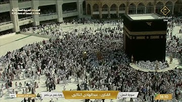 سورة النمل | بصوت القارئ عبدالهادي كناكري