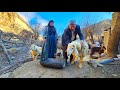 Nomadic life: from food to animal care