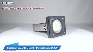 Explosion-proof LED Light, Portable Light_L1239_10W & 20W_THT-EX
