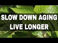 17 Ways to Slow Down Aging and Live Longer