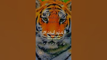تلاوة خاشعة عطرة مباركة جميلة عذبة للشيخ خالد الجليل ماتيسر من سورة الحشر