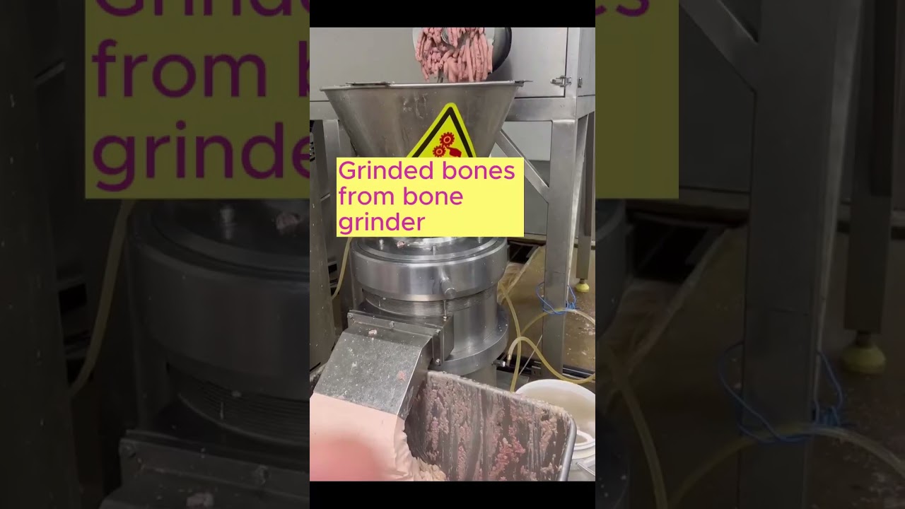 Bone Paste Making Machine 