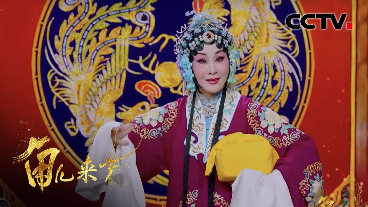 中国京劇芸術彩色記念弊 昆曲オペラ2025