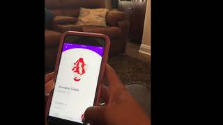 Sonic App Video screenshot 1